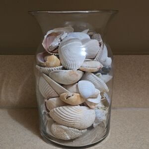Decorative Glass Jar Filled with Natural Seashells - Cream